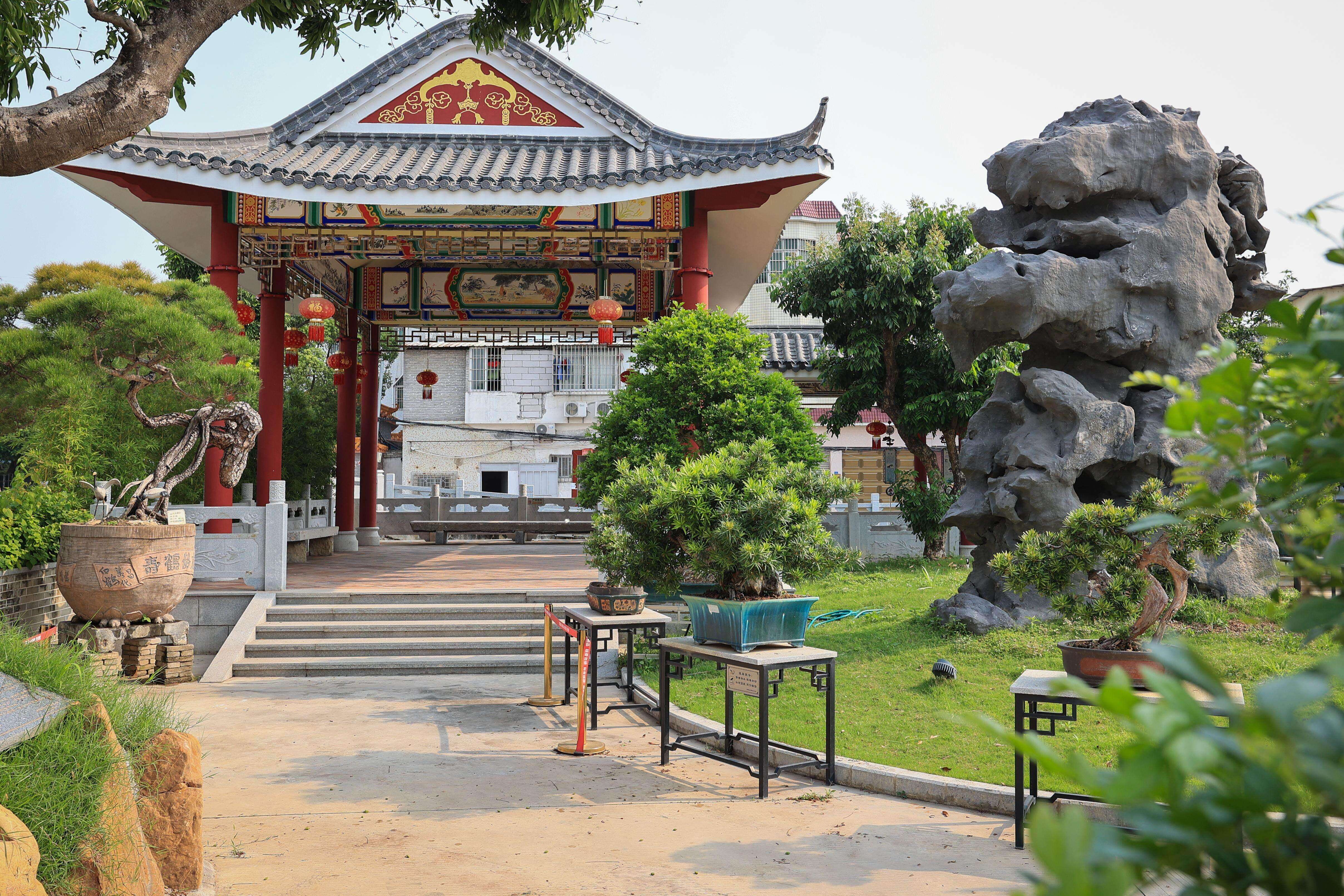 Lingnan penjing keeps century-old tradition alive in Ronggui, Shunde