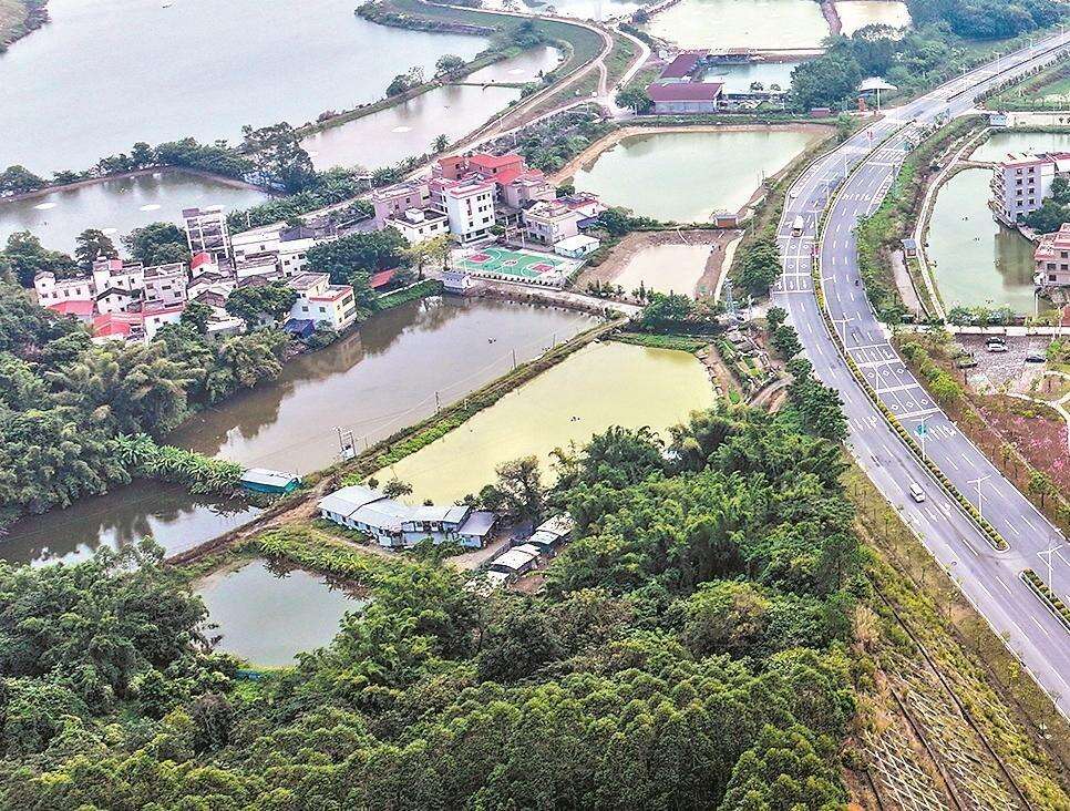 肇庆四会市隆马村：渔村“游”出新赛道
