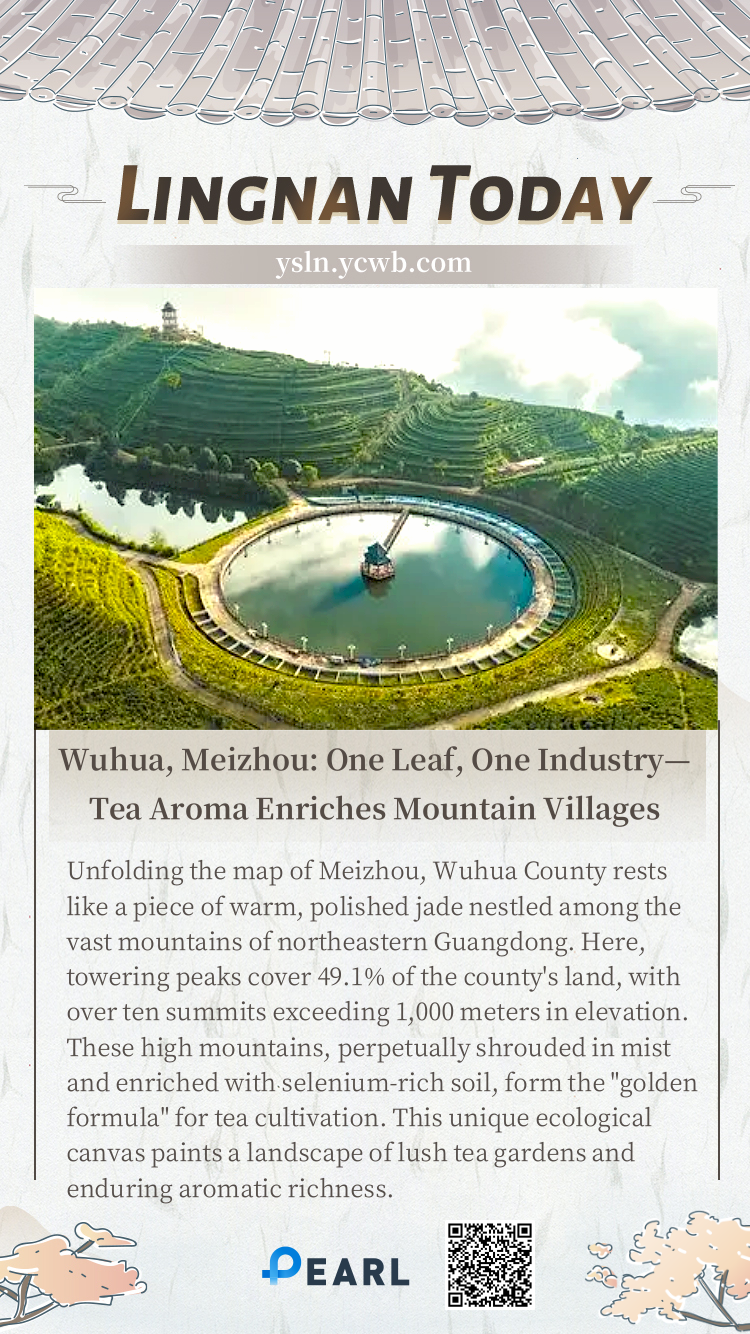 Poster | Wuhua, Meizhou: One Leaf, One Industry—Tea Aroma Enriches Mountain Villages