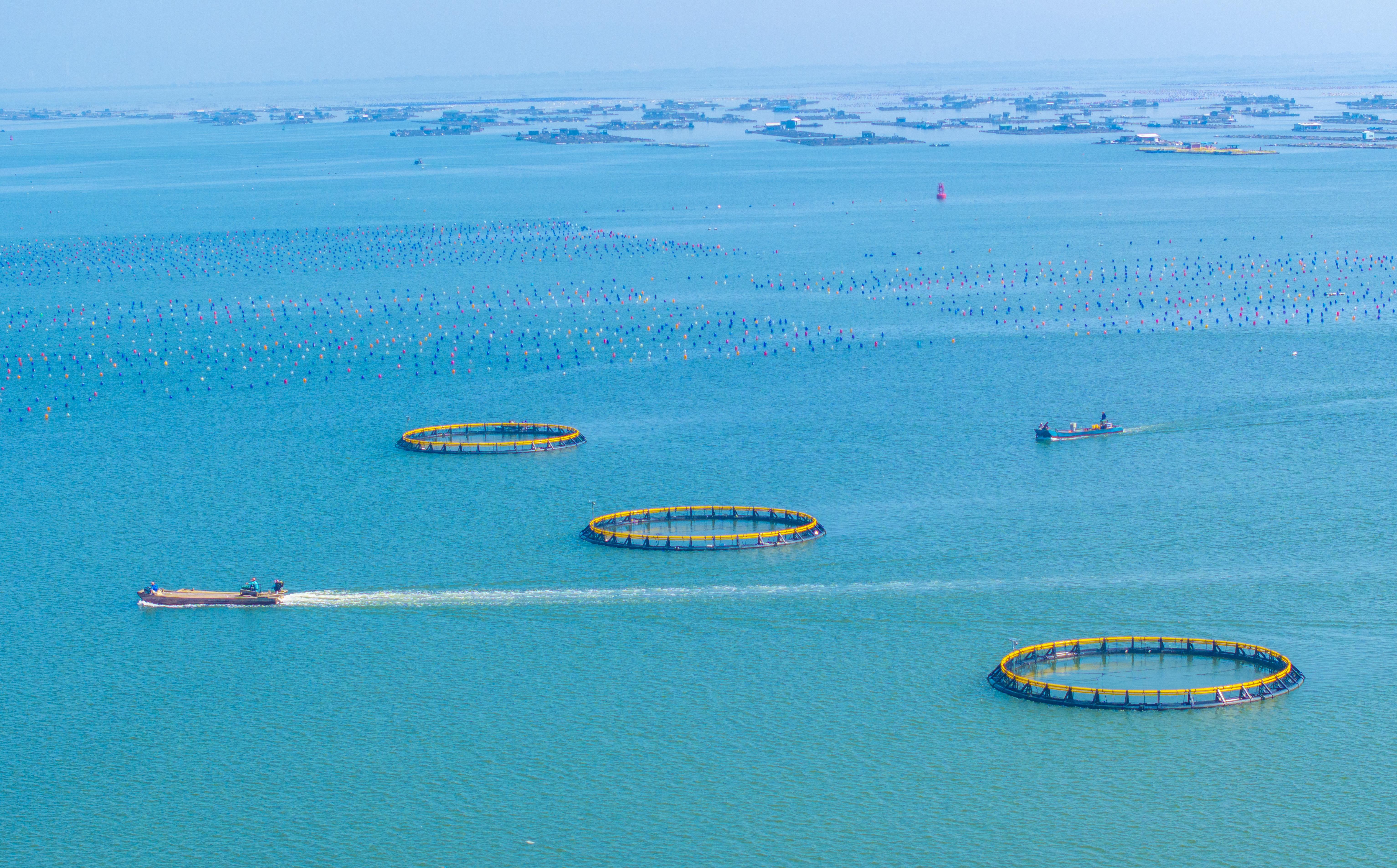 Raoping County in Chaozhou innovates marine aquaculture practices