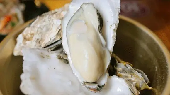 Single oyster offers window into Guangdong