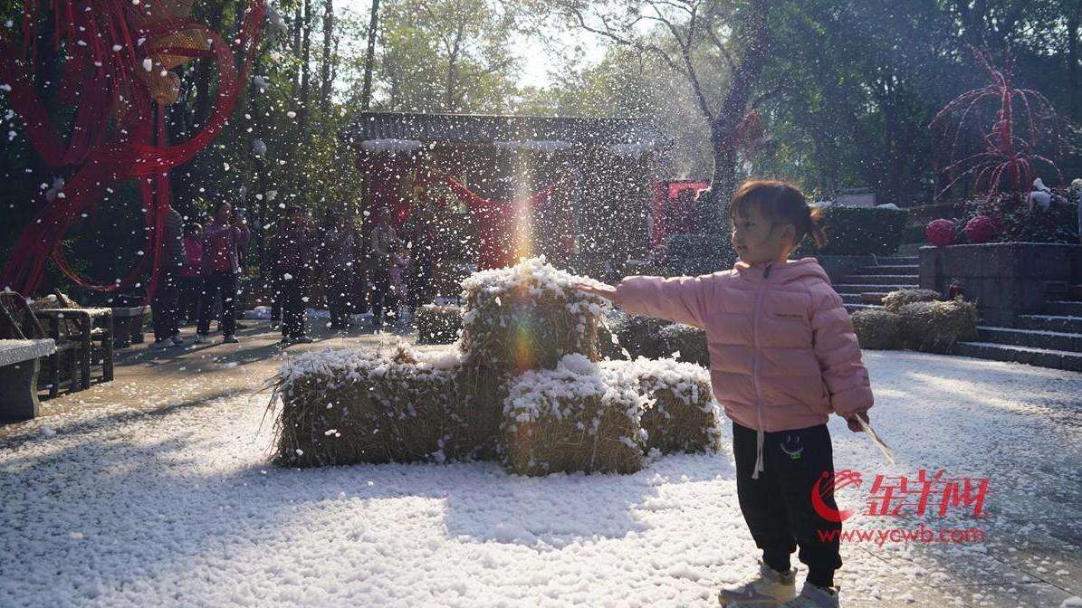 视频|罗浮山飘起