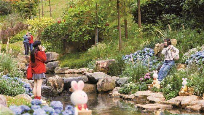  看巡游、听民乐、赏花海……广州元旦游园攻略来啦