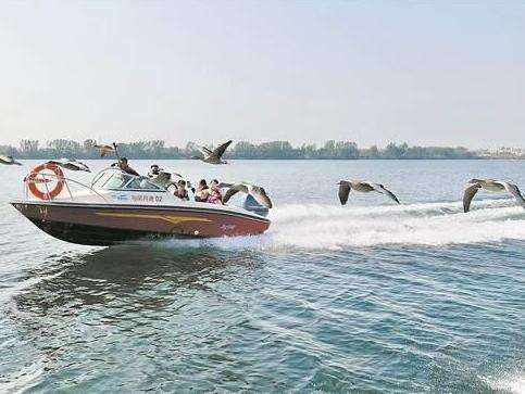 起笔便生花，南粤“热辣滚烫”开新局