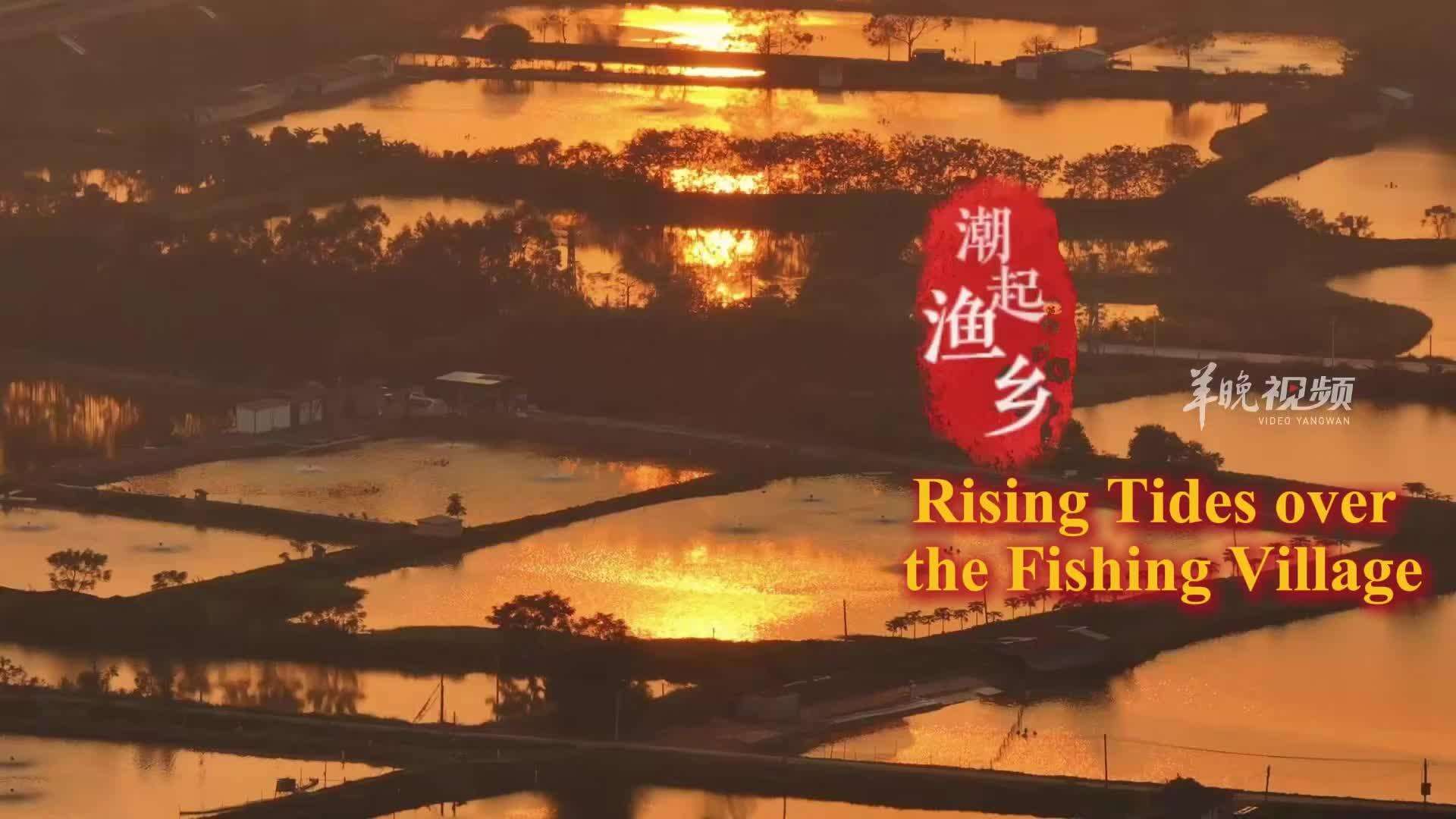  Rising Tides over the Fishing Village, Shimmering New Dreams | Lingnan Travelogue