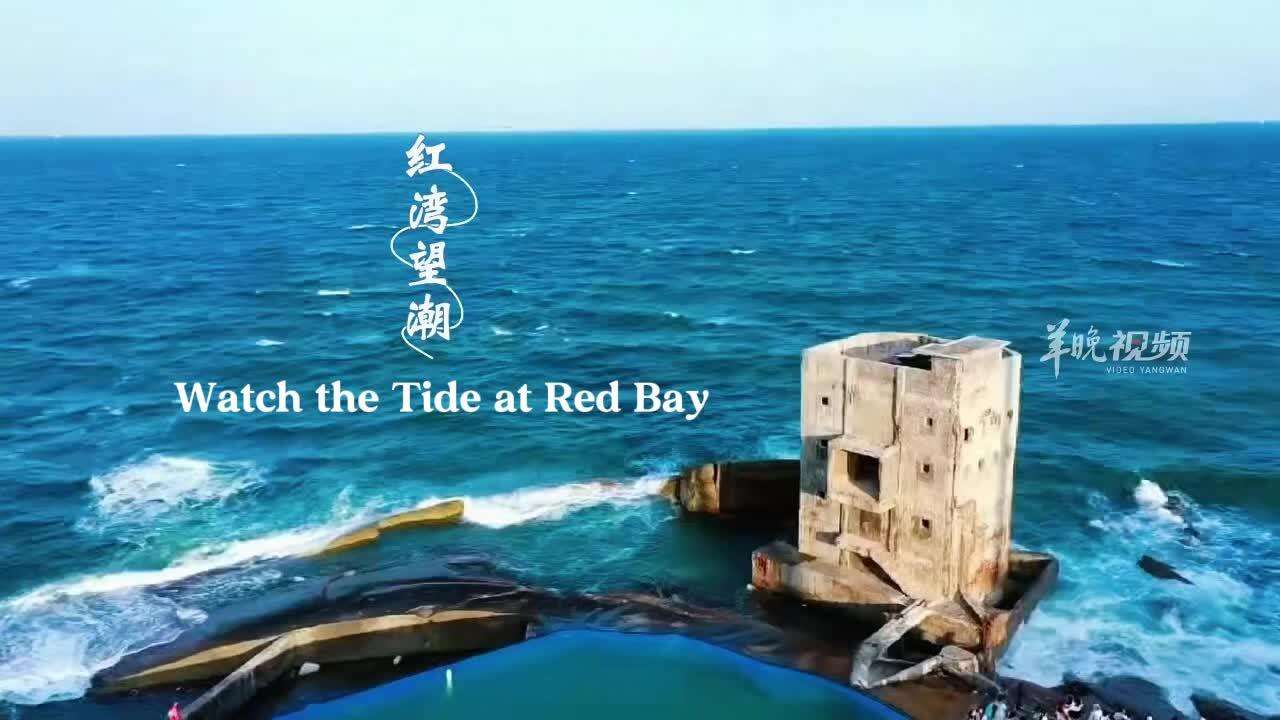 Lingnan Travelogue | Meet the New Year by the Sea