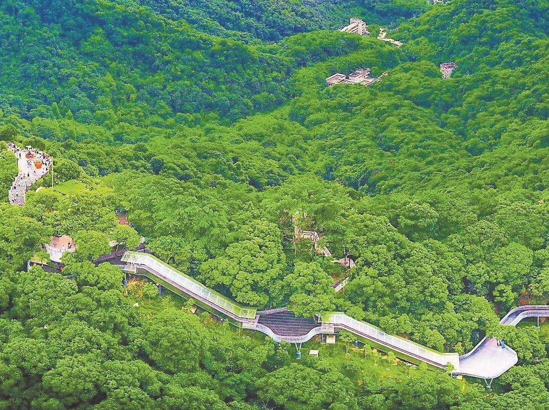  一线串三山！ 广州140公里森林步道下月竣工开放