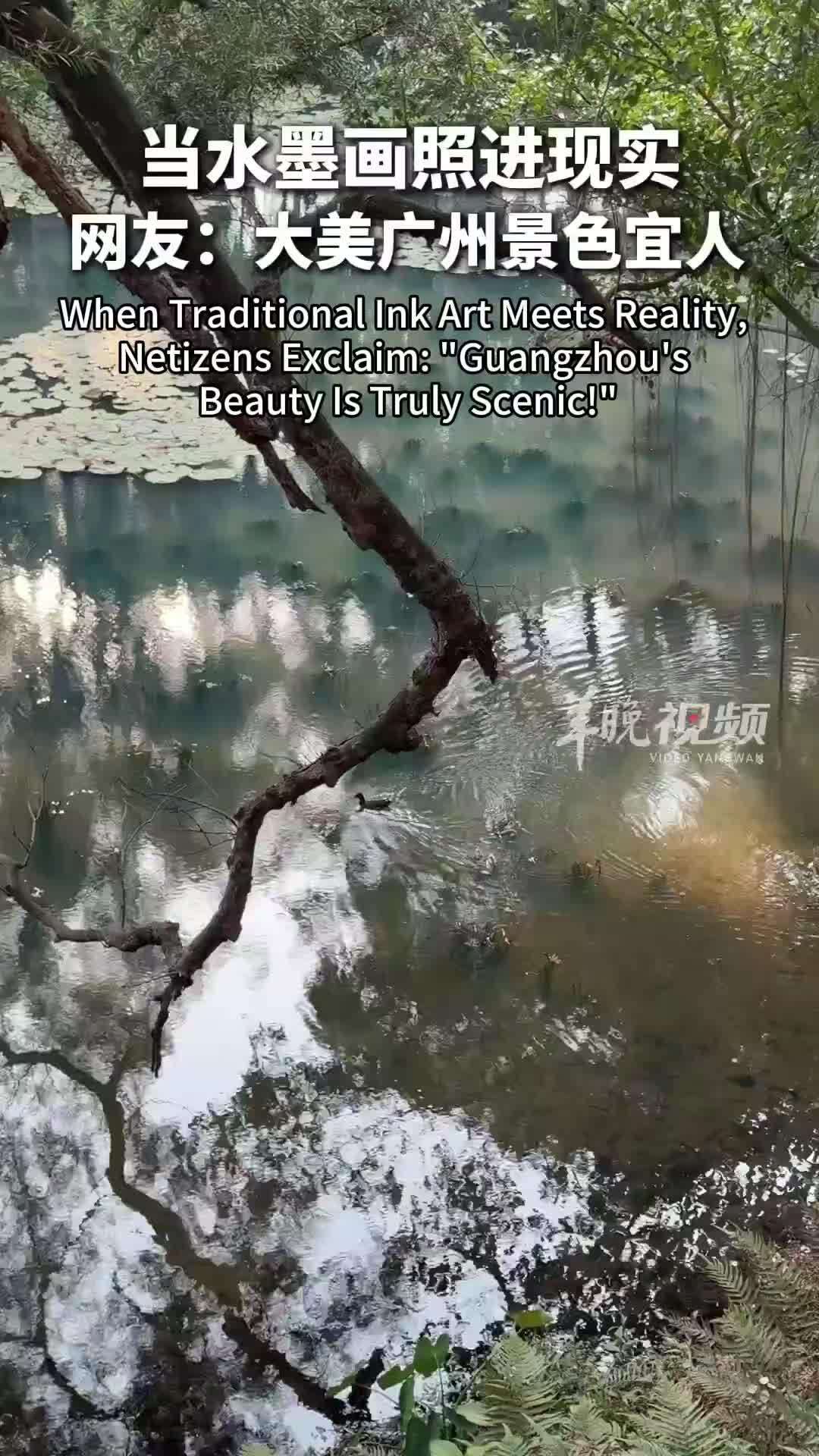  Who Spills the Color Palette at Luhu Park?