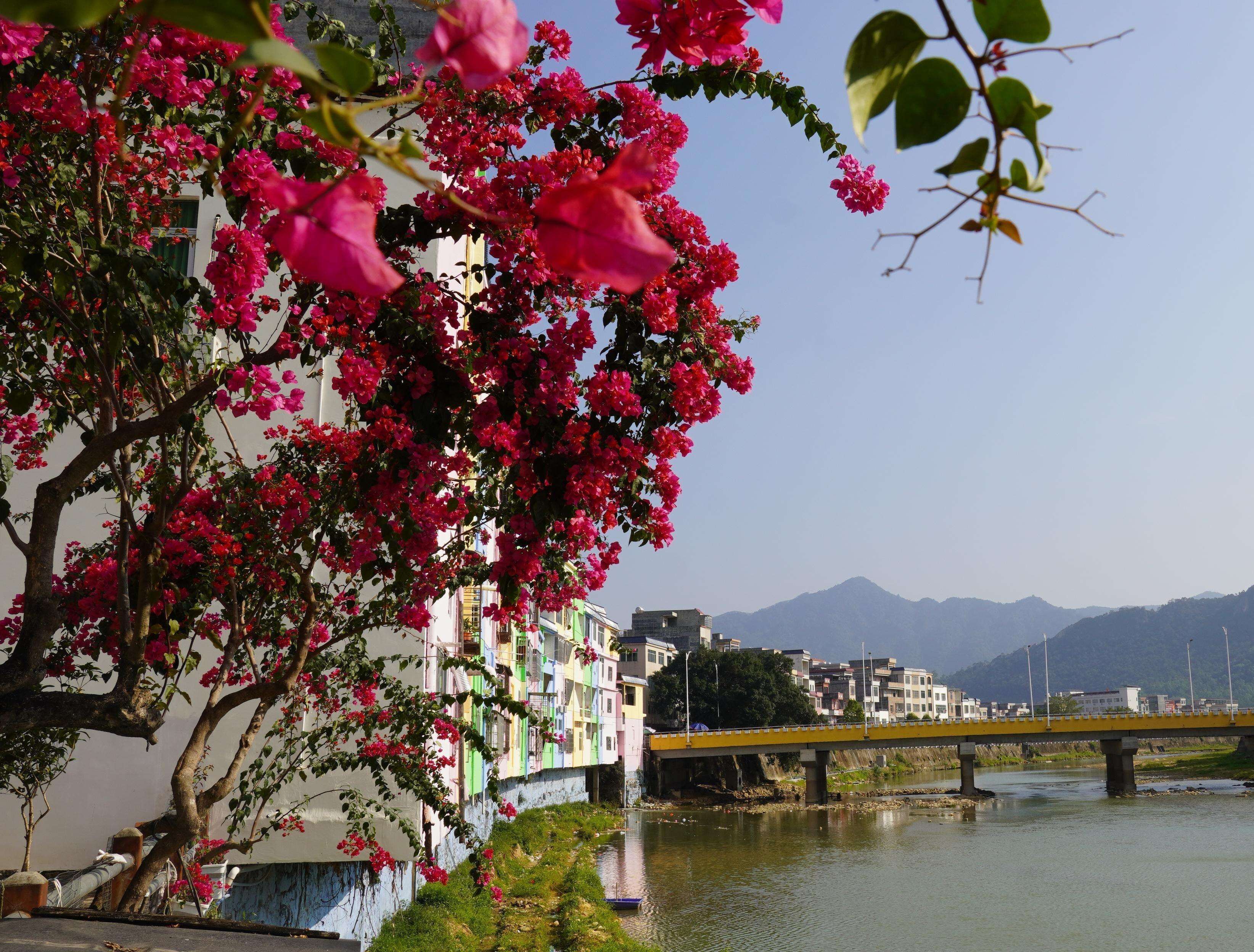 云浮罗定市太西村：彩虹人间 烟火新篇 | 大美岭南·百村焕新记