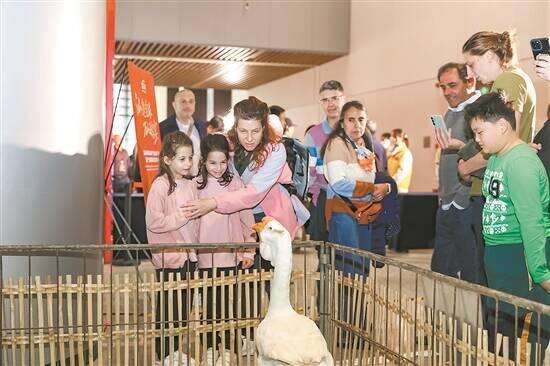  Guangdong's lion-head goose output surges to 100 billion yuanin three years