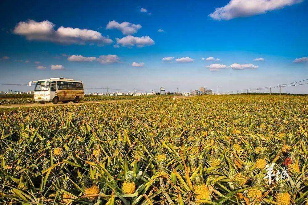  Cultural empowerment enhances the global appeal of 'Guangdong-made products'